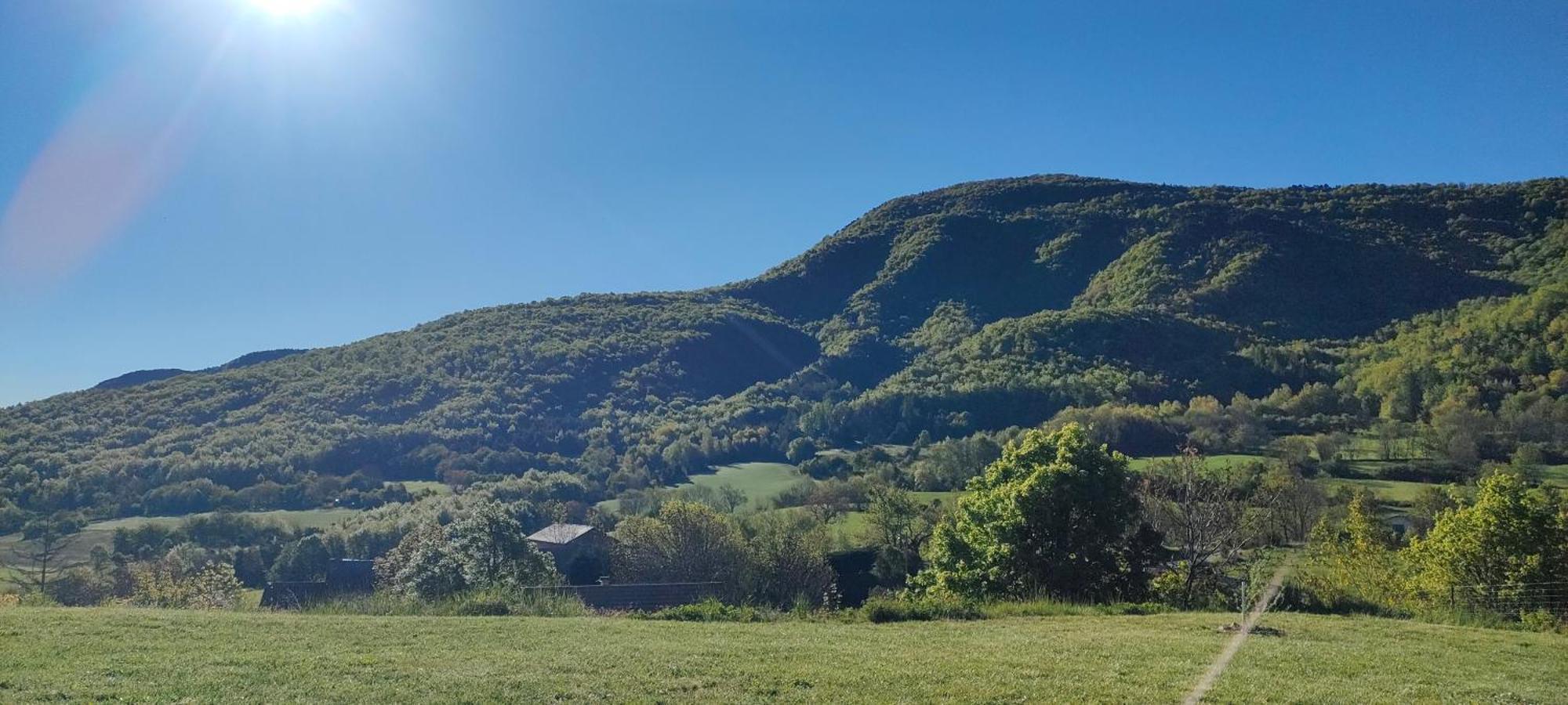 Au Toit Des 4 Saisons Villa Venterol  Екстериор снимка